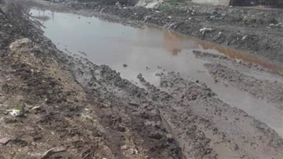 أهالي قرى ميت سلسيل يستغيثون.. انهيار جسر البحيرة سيغرق منازلنا