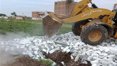 إزالة 11 حالة تعد على أراضي 