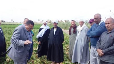 يوم حصاد جديد لبنجر السكر بحوش عيسى (صور)