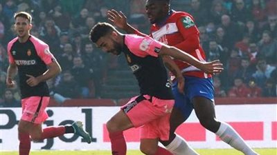 فوز غرناطة على ريال مايوركا بهدف نظيف في الليجا الإسبانية