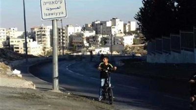 فلسطين تتوجه للجنائية الدولية لرفع معاناة 