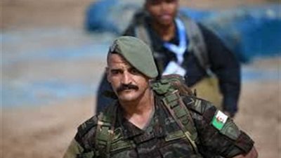 الجزائر.. تصفية مسلحين شمالي البلاد