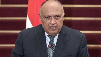 شكري يواصل اتصالاته مع الشركاء الدوليين حول تطورات الشأن الليبي