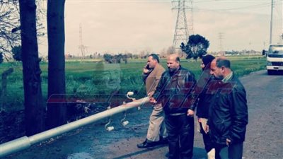 سقوط عامود إنارة واقتلاع شجرة بسبب الطقس السيئ فى قها