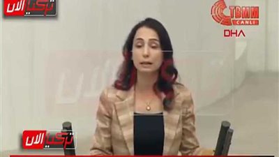 نائبه تركيه: أردوغان يتبني سياسه احتلاليه