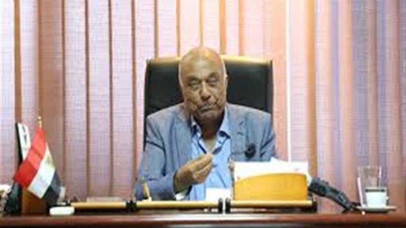 حماة الوطن: مصر تدعم