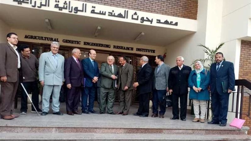 دراسة عن تنمية مجتمع