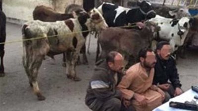 عاجل.. الكشف عن منفذ مذبحة كفر الدوار