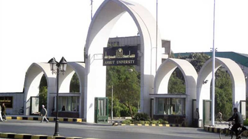 منح 60 درجة ماجستير