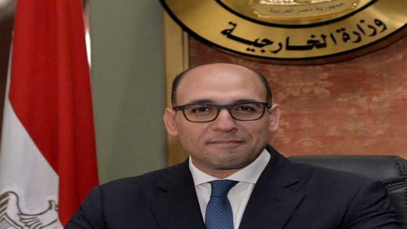 وزيرا خارجية مصر