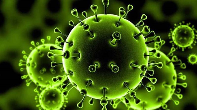 فيروس كورونا