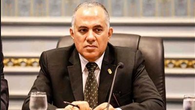 وزير الري : أي اتفاق يجب أن يحمي دول المصب من أضرار سد النهضة