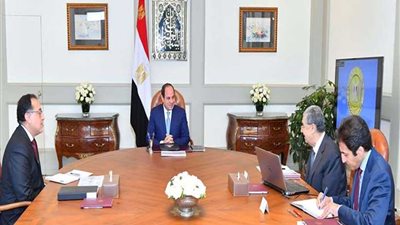 الرئيس السيسي يوجه بتنفيذ مشروعات الربط الكهربائي مع دول الجوار