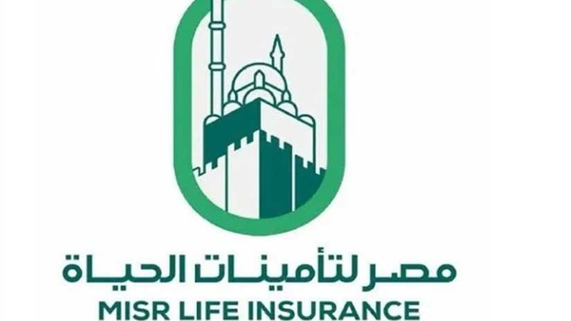 شركتا مصر القابضة