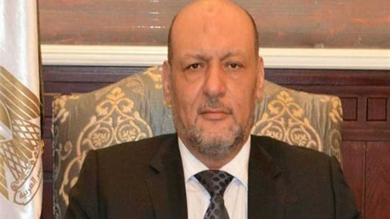 المصريين: مصر نجحت