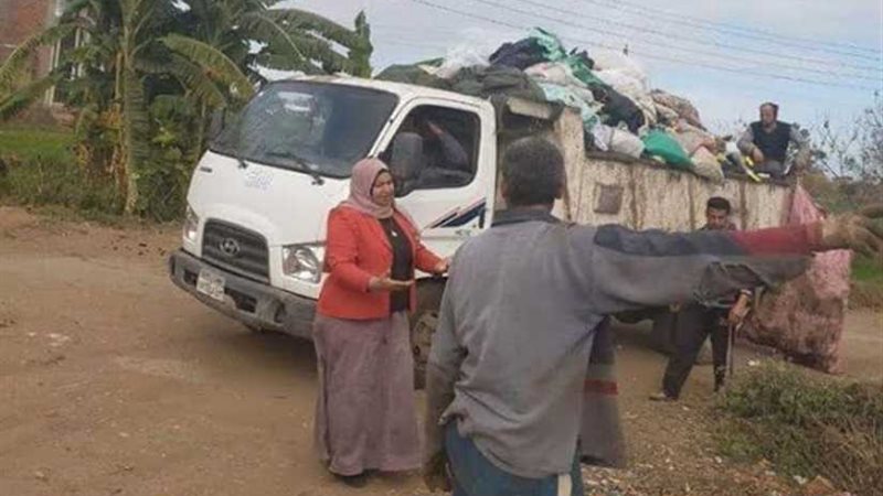 ”الباجور“ خلية نحل