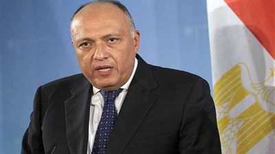 عاجل.. وزير الخارجية يزور الجزائر حاملاً رسالة من الرئيس السيسي إلى نظيره تبون