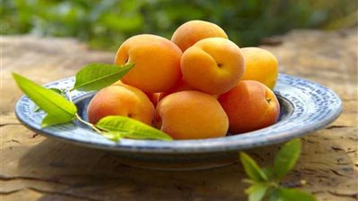 في يومه العالمي.. تعرف على الفوائد الصحية والجمالية لتناول المشمش