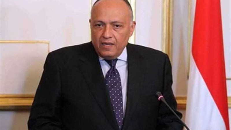 شكري يغادر الجزائر