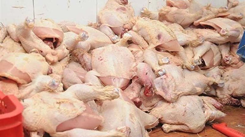 ضبط دواجن مجهولة