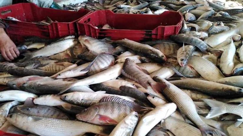 افتتاح موسم الصيد