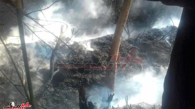 السيطرة على حريق شب بـ 15 فدان مانجو ورمان بساحل سليم..صور