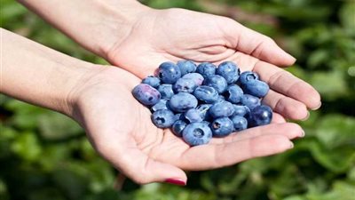 مشروب يساعد على تخفيض مستوى ضغط الدم