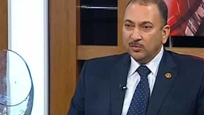 الرفاعي: مساندة رئيس الوزراء للمنظومة ساعدها على حل الشكاوى