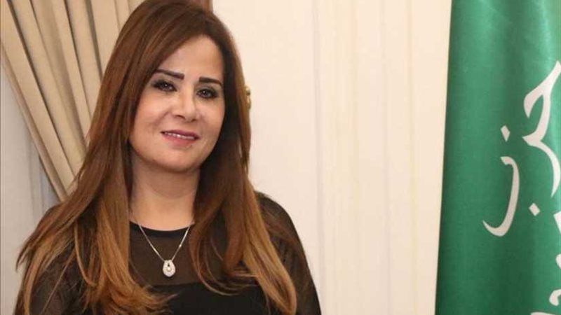 الوفد: تشغيل خط طيران