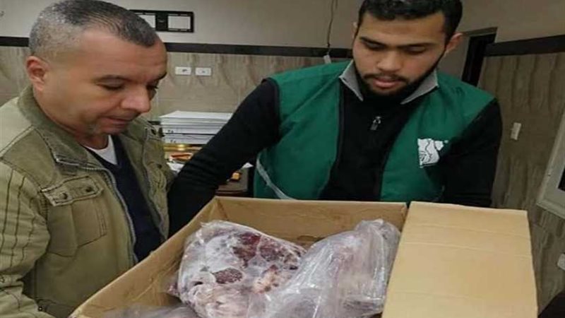 تضامن الإسكندرية