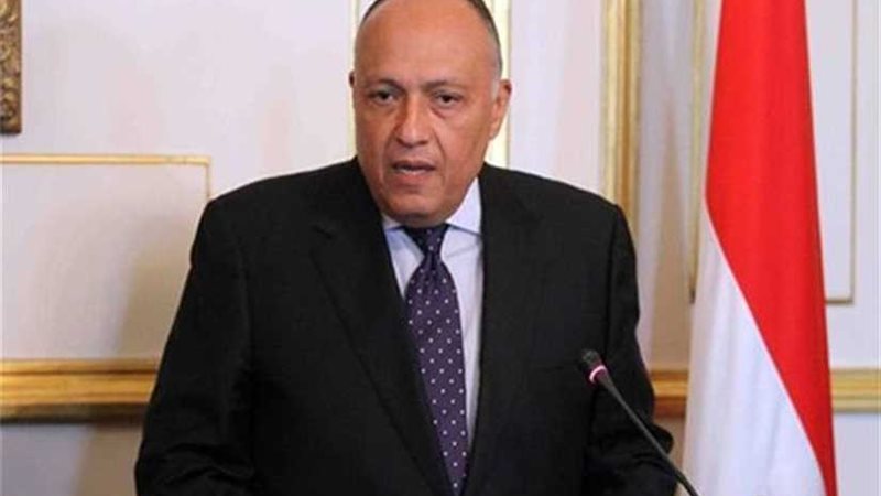 شكري يتوجه لواشنطن