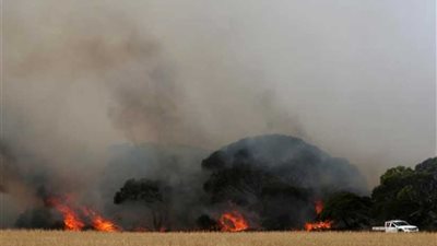 مسيرات حاشدة في أستراليا احتجاجا على سياسة الحكومة حيال حرائق الغابات