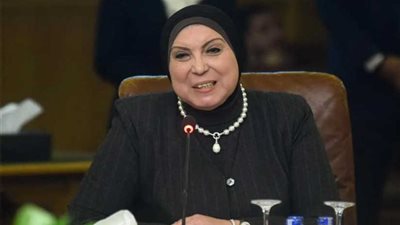 وزيرة الصناعة أمام 