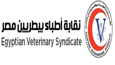 14 يناير.. البيطريين يناقشون أزمة التحاقهم بهيئة سلامة الغذاء