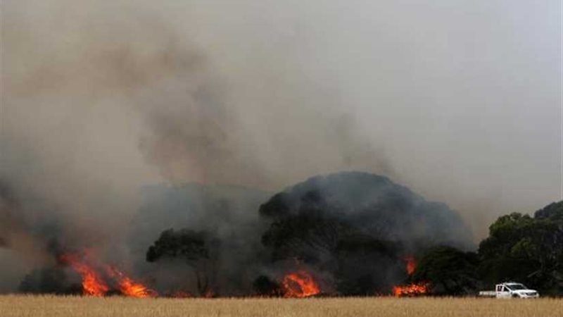 مسيرات حاشدة في أستراليا