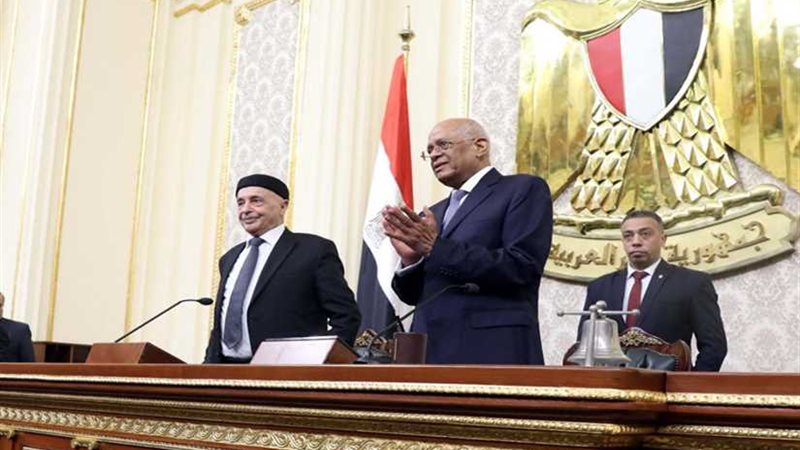 عبد العال: مجلس النواب