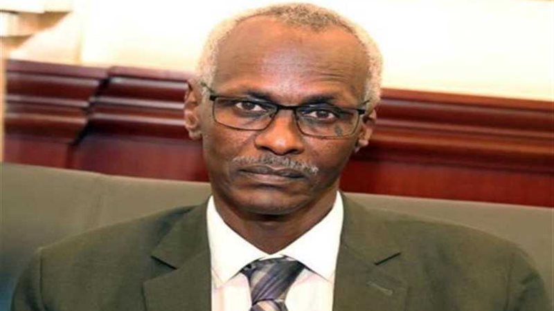 وزيرا الري والخارجية