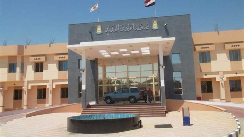 الوادي الجديد: 593