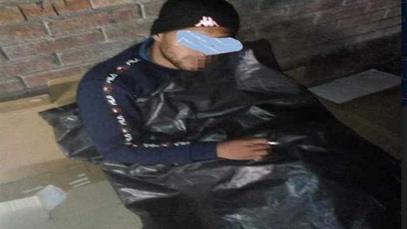 تضامن الإسكندرية