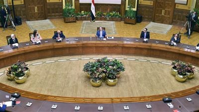 الوفد: حديث السيسي طمأن المصريين