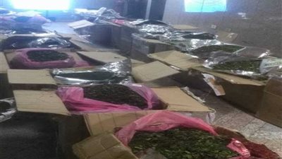 جمارك مطار القاهرة تحبط تهريب مواد مخدرة