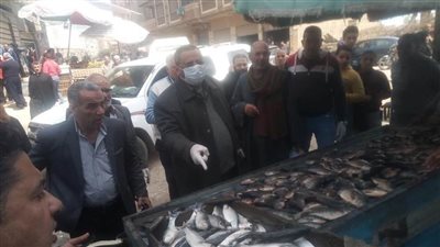 حملات مكبرة على الأسواق والمحال التجارية بكفر الشيخ