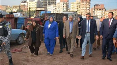 محافظ الدقهلية يتفقد أرض 