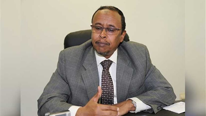 مباحثات سودانية –