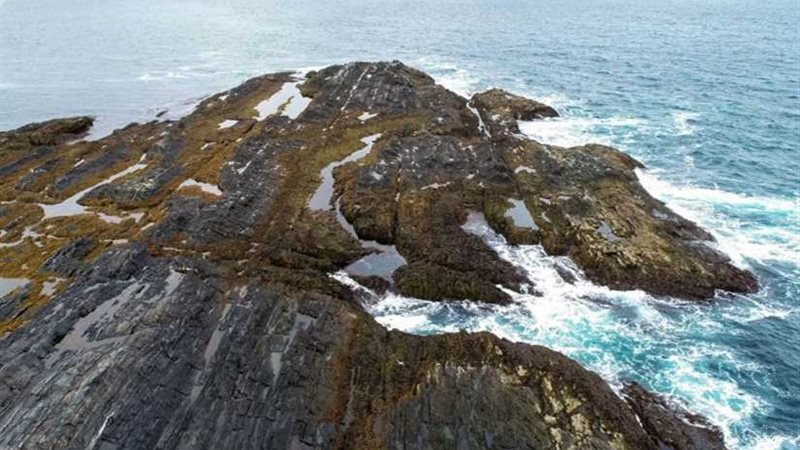 مخلوق بقدرات جنسية