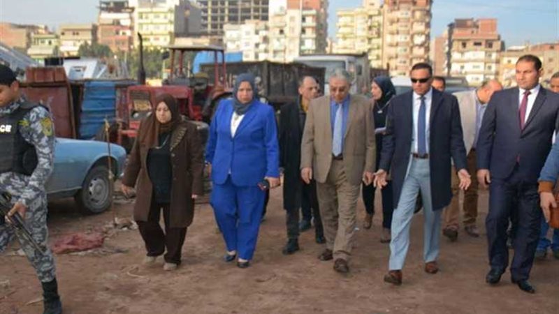 محافظ الدقهلية يتفقد