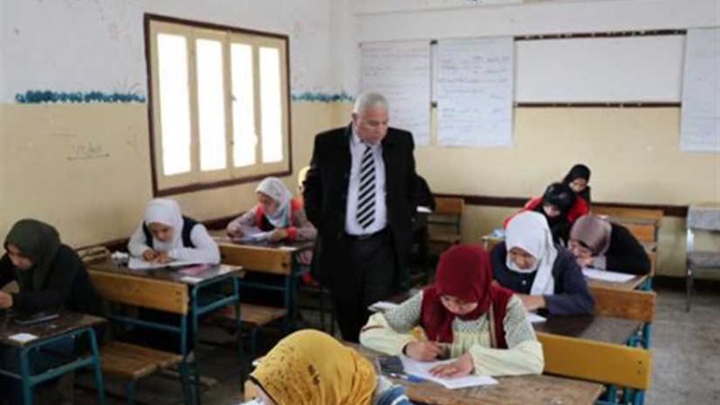 محافظ البحيرة يوجه