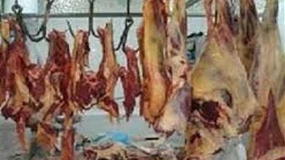 ضبط 611 كيلو لحوم غير صالحة بالمنيا