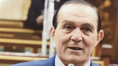 برلماني: قاعدة برنيس العسكرية أنشأت لضبط موازين القوة