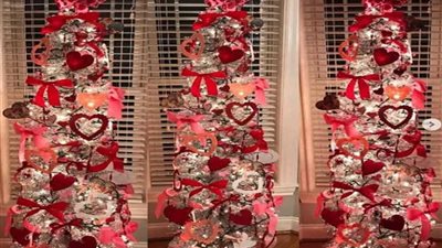 إعادة تدوير شجرة عيد الميلاد للاحتفال بـ